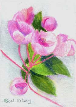 "Apple Blossoms #1" by Barbara Kelsey, Pewaukee WI - Colored Pencil